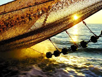 Schip Naar Schap Stap 3 Uitzetten Van De Netten