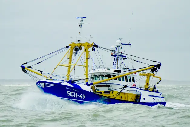 Schip Naar Schap Stap 2 Stomen Naar De Visgronden