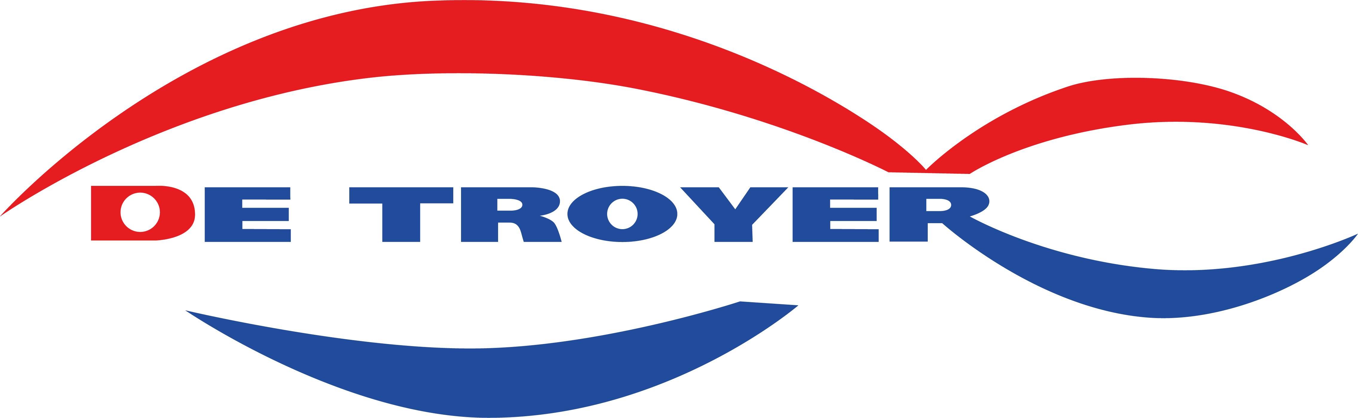 Logo Detroyer